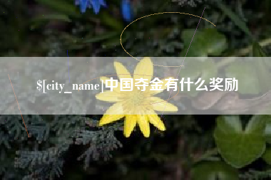 浮梁中国夺金有什么奖励