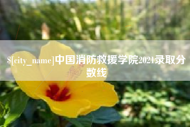 浮梁中国消防救援学院2021录取分数线