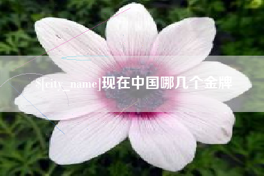 浮梁现在中国哪几个金牌