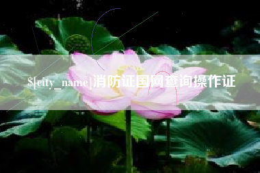 浮梁消防证国网查询操作证