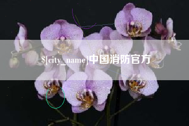 浮梁中国消防官方