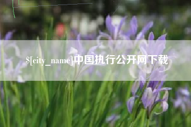 浮梁中国执行公开网下载