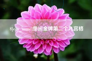 浮梁奥运金牌第二个九宫格