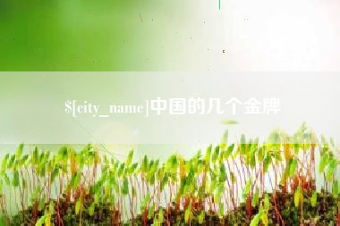 浮梁中国的几个金牌