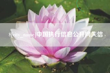 浮梁中国执行信息公开网失信