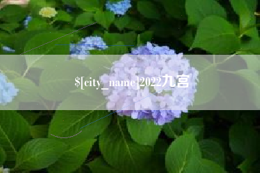 浮梁2022九宫