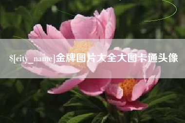 浮梁金牌图片大全大图卡通头像