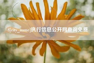 浮梁执行信息公开网查询免费